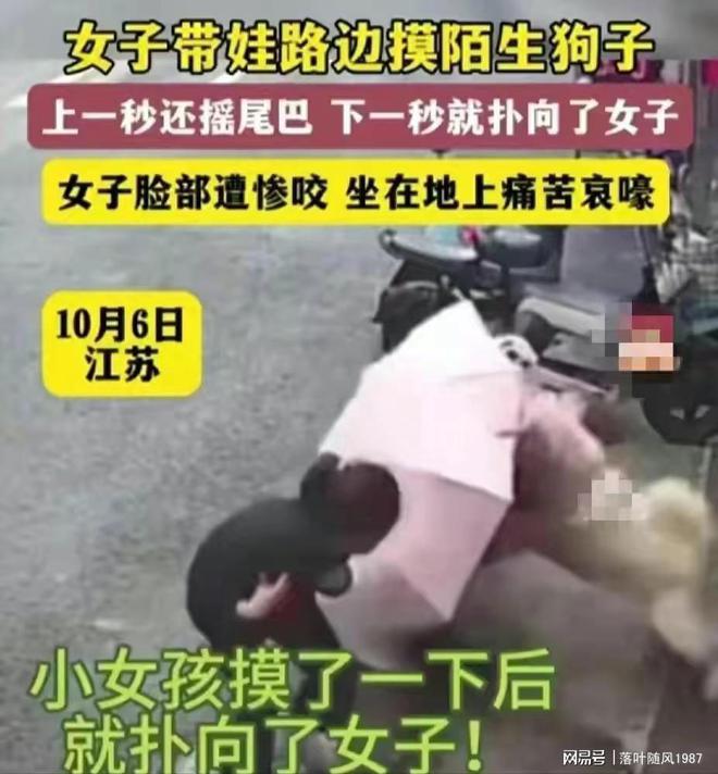 下载 (2).jpg